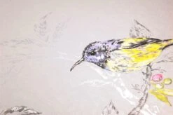 Tapete Onni Hellgrau -Tapetengeschäft 104501 B Onni 2880x1440