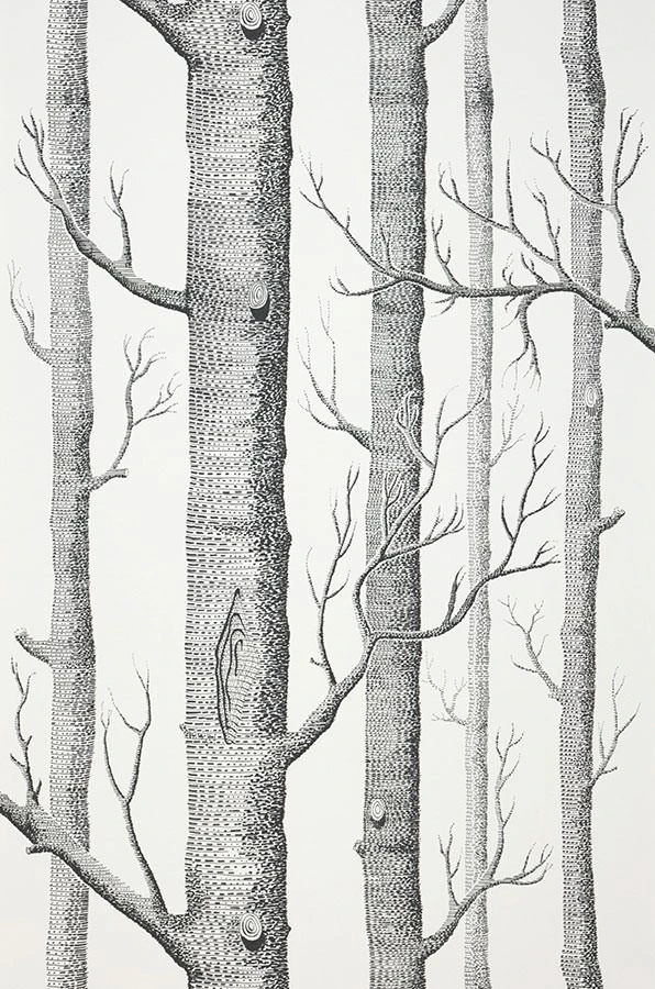 Tapete Birch Forest Schwarz 2 Tapete Birch Forest Schwarz – Bild 2