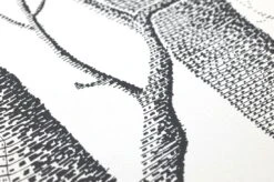 Tapete Birch Forest Schwarz 8 Tapete Birch Forest Schwarz -Tapetengeschäft 138101 B Birch Forest 2880x1440