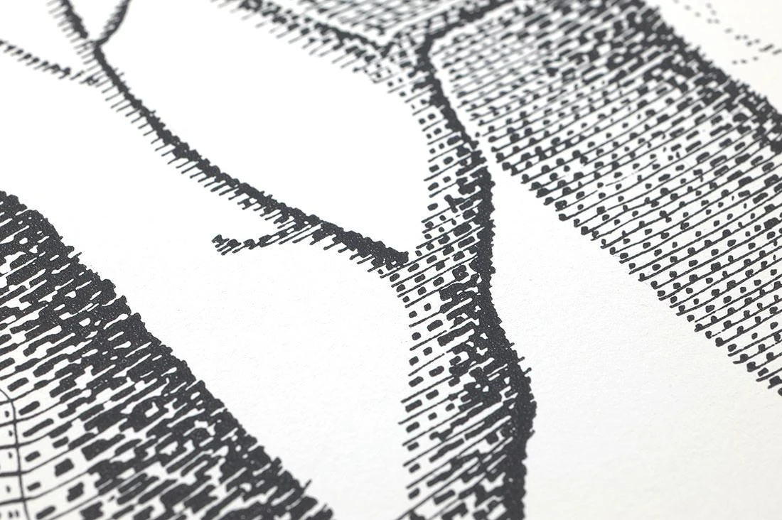 Tapete Birch Forest Schwarz 3 Tapete Birch Forest Schwarz – Bild 3