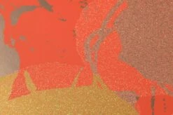 Tapete Andy Warhol - Flowers Lachsorange -Tapetengeschäft 320221 1 Andy Warhol Flowers 2880x1440