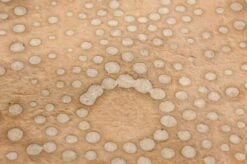 Tapete Mawe Braunbeige 9 Tapete Mawe Braunbeige -Tapetengeschäft 325108 B Mawe 2880x1440