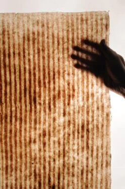 Tapete Jambhala Zartrosa 9 Tapete Jambhala Zartrosa -Tapetengeschäft 325110 C Jambhala 2880x1440