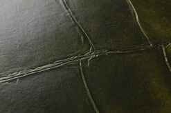 Tapete Croco 05 Dunkelgrün -Tapetengeschäft 345105 1 croco05 2880x1440