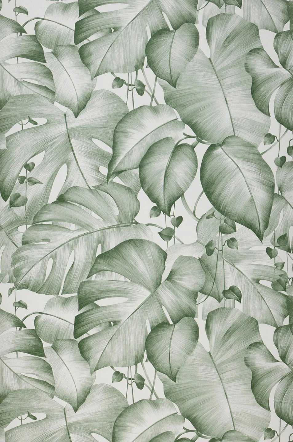 Tapete Gisah Moosgrün 2 Tapete Gisah Moosgrün – Bild 2