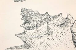 Ferm LIVING Tapete Shells Cremeweiss -Tapetengeschäft 420253 B Shells 2880x1440