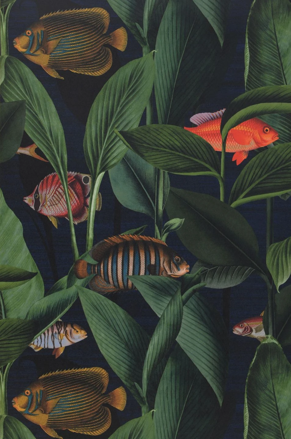 Tapete Acuario Dunkelblau 2 Tapete Acuario Dunkelblau – Bild 2