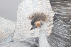 Tapete Kimora Hellgrau -Tapetengeschäft 431701 B Kimora 2880x1440