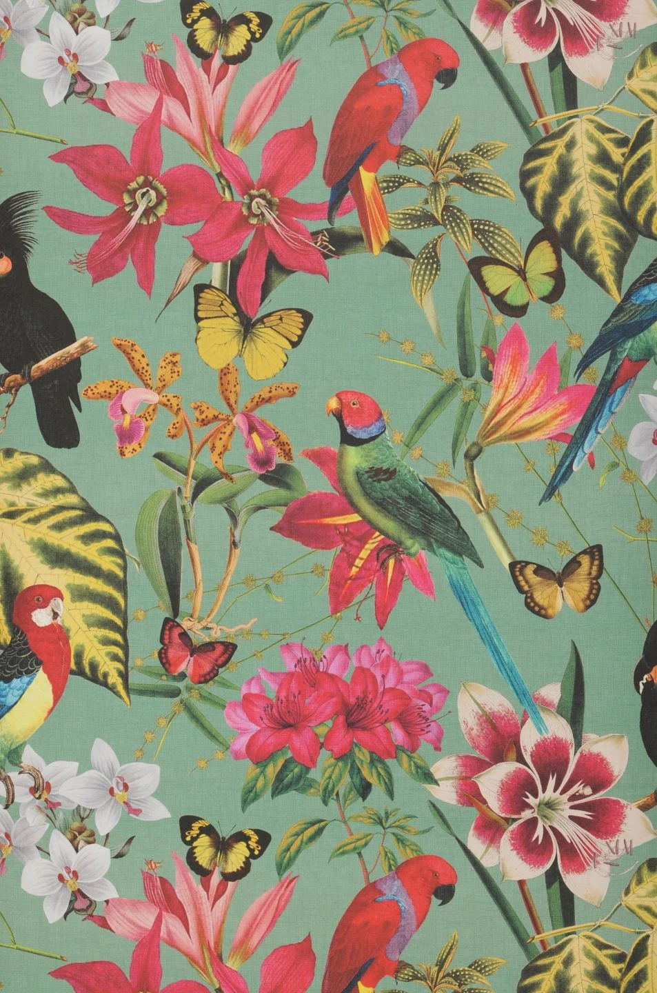 Tapete Mambo Blassgrün 2 Tapete Mambo Blassgrün – Bild 2