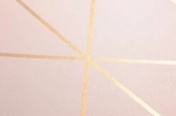 Tapete Biloba Zartrosa -Tapetengeschäft 451371 B Biloba 2880x1440