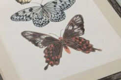 Tapete Jara Bunt -Tapetengeschäft 461581 1 Jara 2880x1440