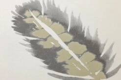 Tapete Ferty Beige -Tapetengeschäft 461621 B Ferty 2880x1440