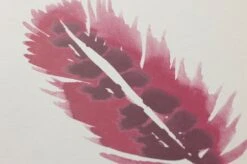 Tapete Ferty Bordeauxviolett 6 Tapete Ferty Bordeauxviolett -Tapetengeschäft 461622 B Ferty 2880x1440