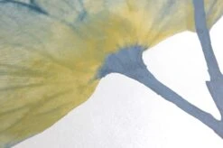 Tapete Munroe Blaugrün -Tapetengeschäft 462522 B Munroe 2880x1440