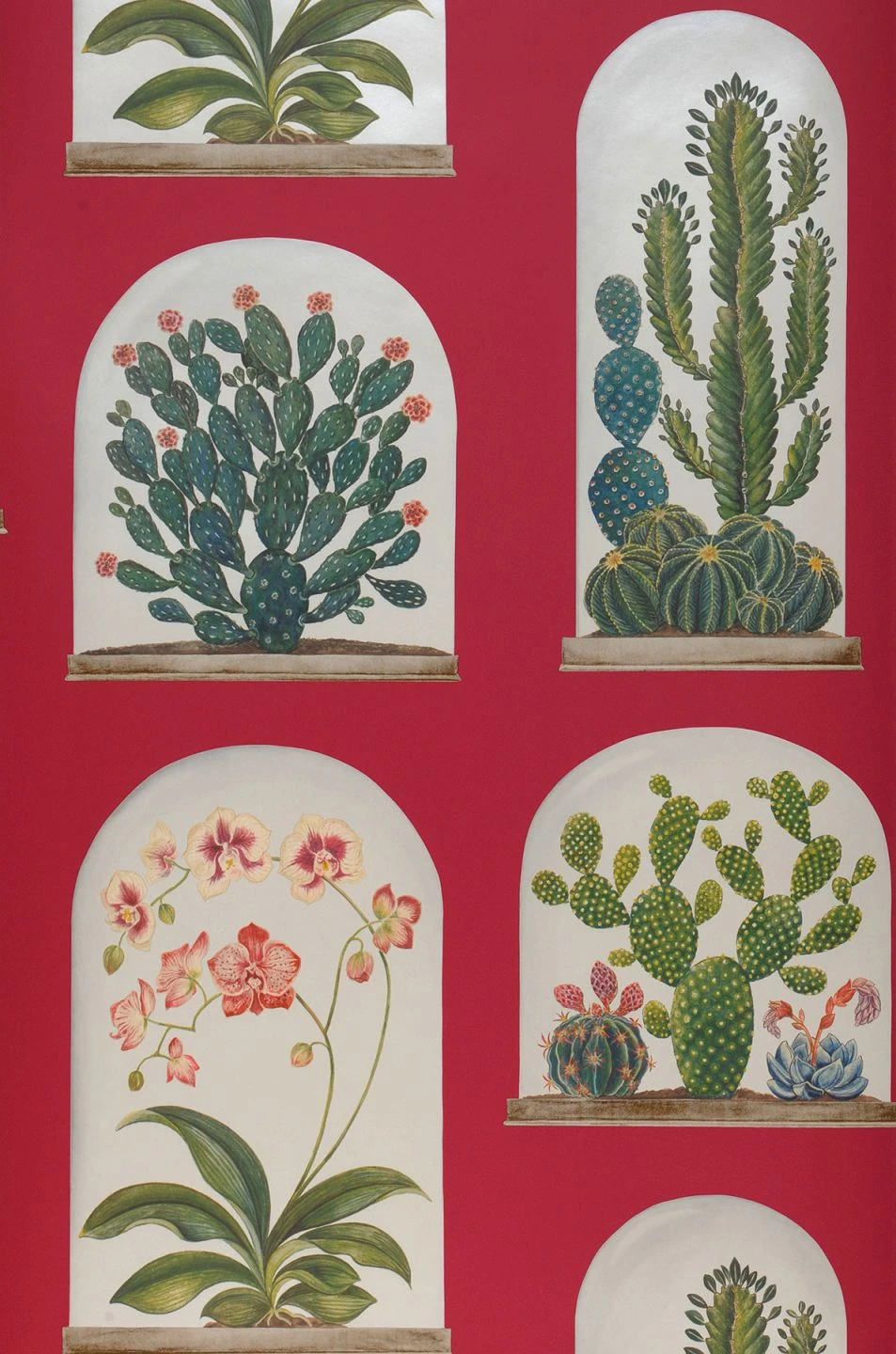 Tapete Coralie Rotviolett 2 Tapete Coralie Rotviolett – Bild 2