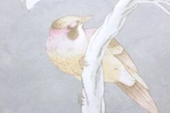 Tapete Verdura Cremeweiss Perlglanz -Tapetengeschäft 462891 B Verdura 2880x1440