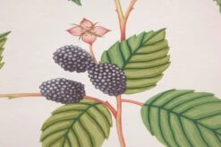 Tapete Francesca Grüntöne -Tapetengeschäft 463311 B Francesca 2880x1440