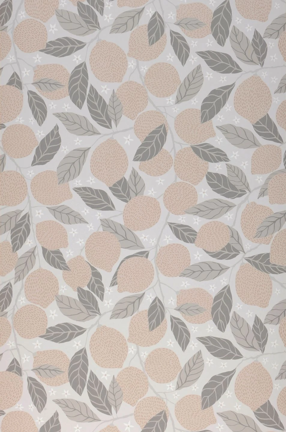 Tapete Raphael Weissgrau 2 Tapete Raphael Weissgrau – Bild 2