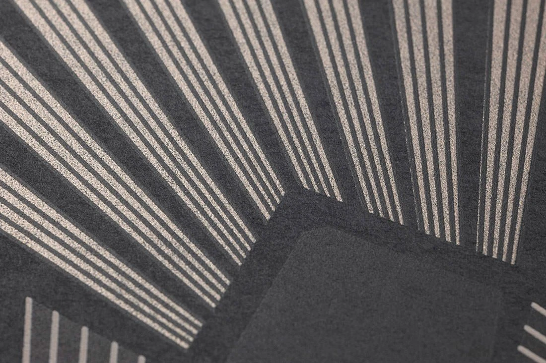 Tapete Pontinius Anthrazit 3 Tapete Pontinius Anthrazit – Bild 3