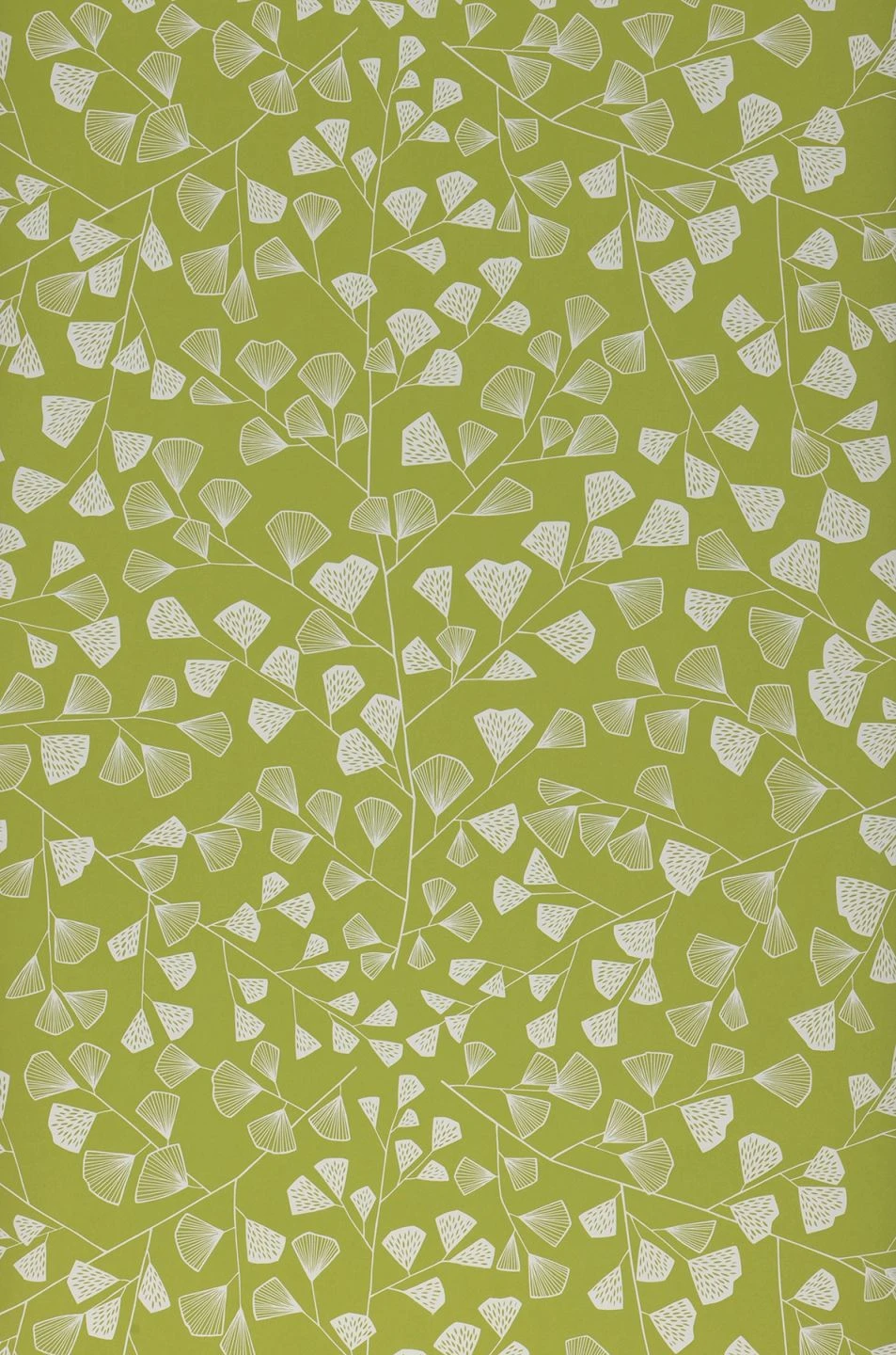 Tapete Fern Hellgrün 2 Tapete Fern Hellgrün – Bild 2