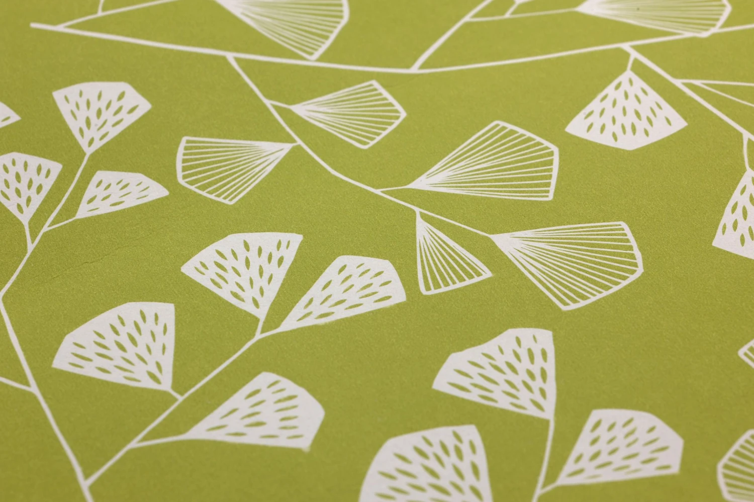 Tapete Fern Hellgrün 3 Tapete Fern Hellgrün – Bild 3