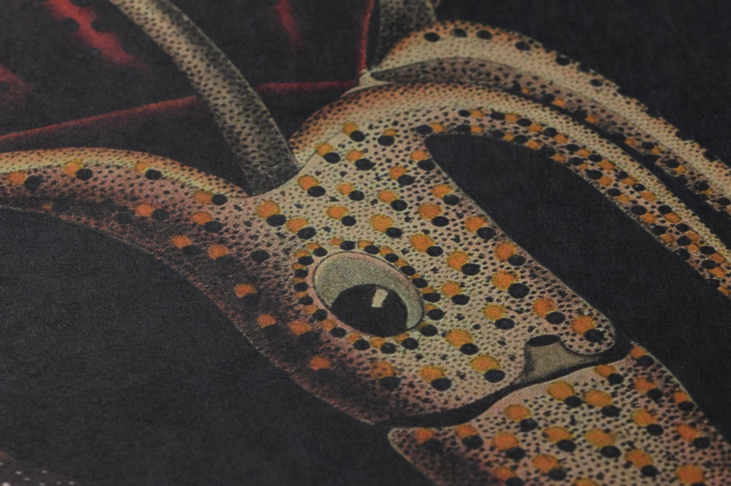 Wandbild Oceania Anthrazit 3 Wandbild Oceania Anthrazit – Bild 3