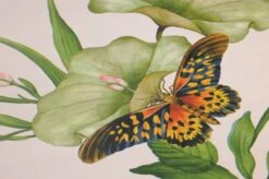 Tapete Sensu Cremeweiss -Tapetengeschäft 745142 B Sensu 2880x1440