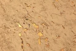 Tapete Cork On Roll 01 Mattgold -Tapetengeschäft 821721 B Cork on Roll 01 2880x1440