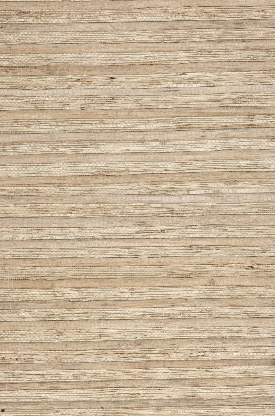 Tapete Arrowroot On Roll 01 Beige 3 Tapete Arrowroot On Roll 01 Beige – Bild 3