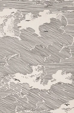 Tapete Skyward Schwarz