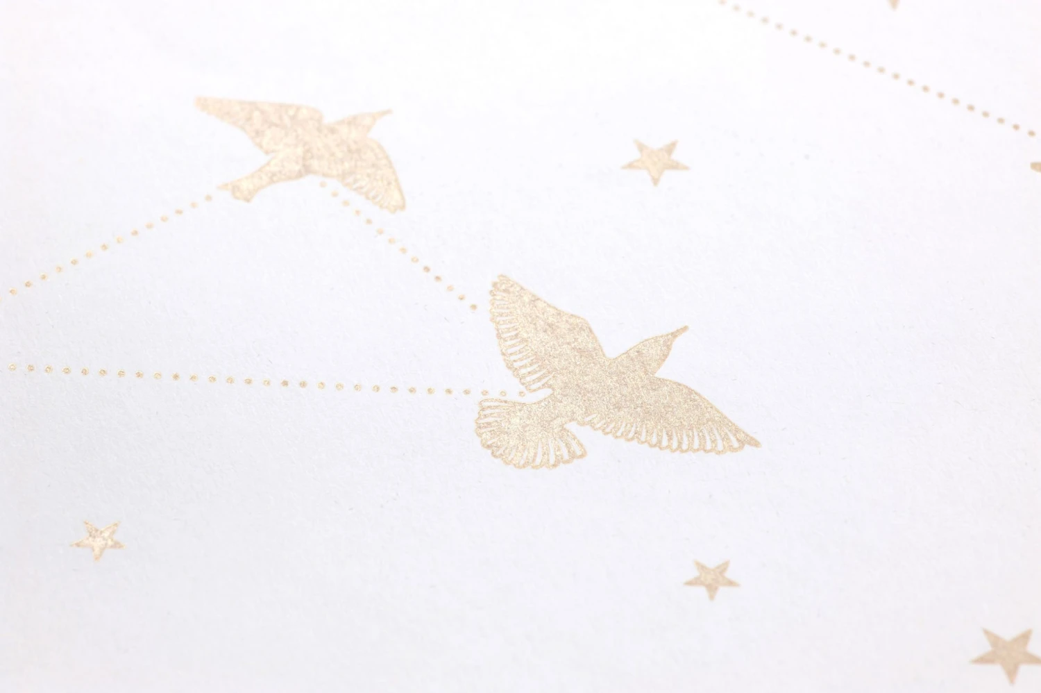 Tapete Hermine Cremeweiss 3 Tapete Hermine Cremeweiss – Bild 3