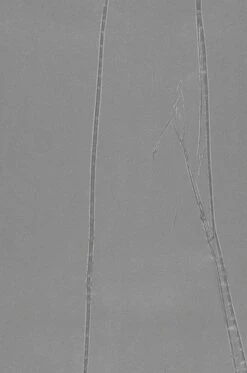 Tapete Big Crush 03 Grau -Tapetengeschäft 863223 B Big Crush 03 2880x1440