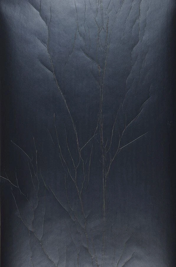 Tapete Crush Tree 02 Anthrazit 1 Tapete Crush Tree 02 Anthrazit