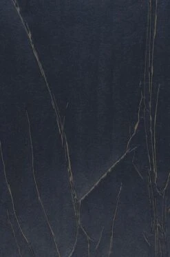 Tapete Crush Tree 02 Anthrazit 5 Tapete Crush Tree 02 Anthrazit -Tapetengeschäft 863232 B Crush Tree 02 2880x1440