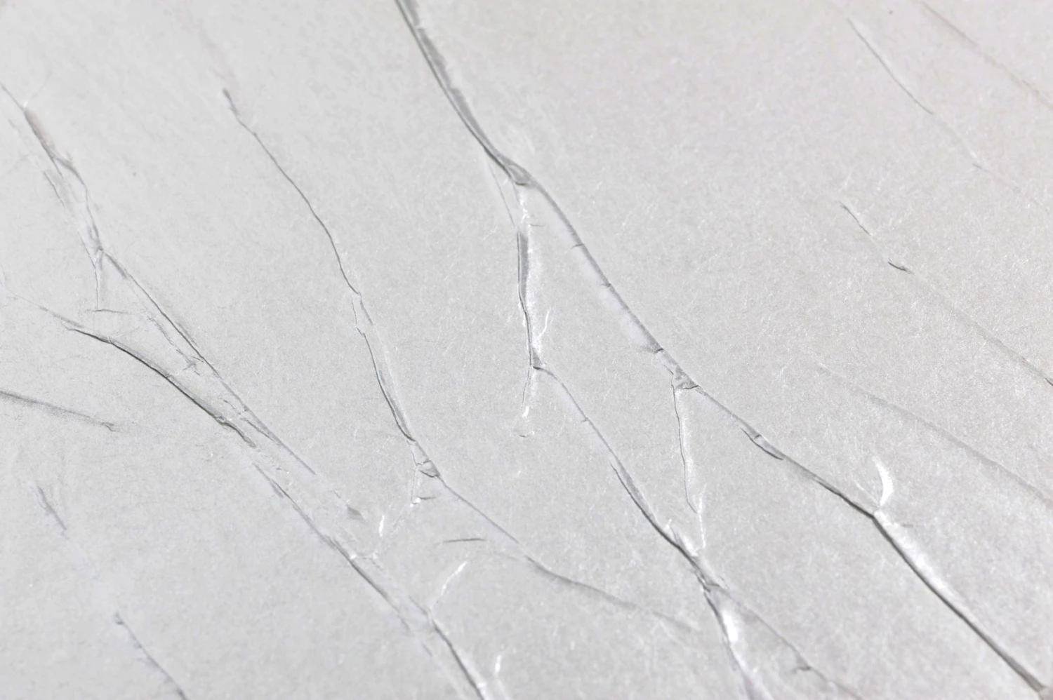 Tapete Crush Tree 06 Grauweiss Schimmer 3 Tapete Crush Tree 06 Grauweiss Schimmer – Bild 3