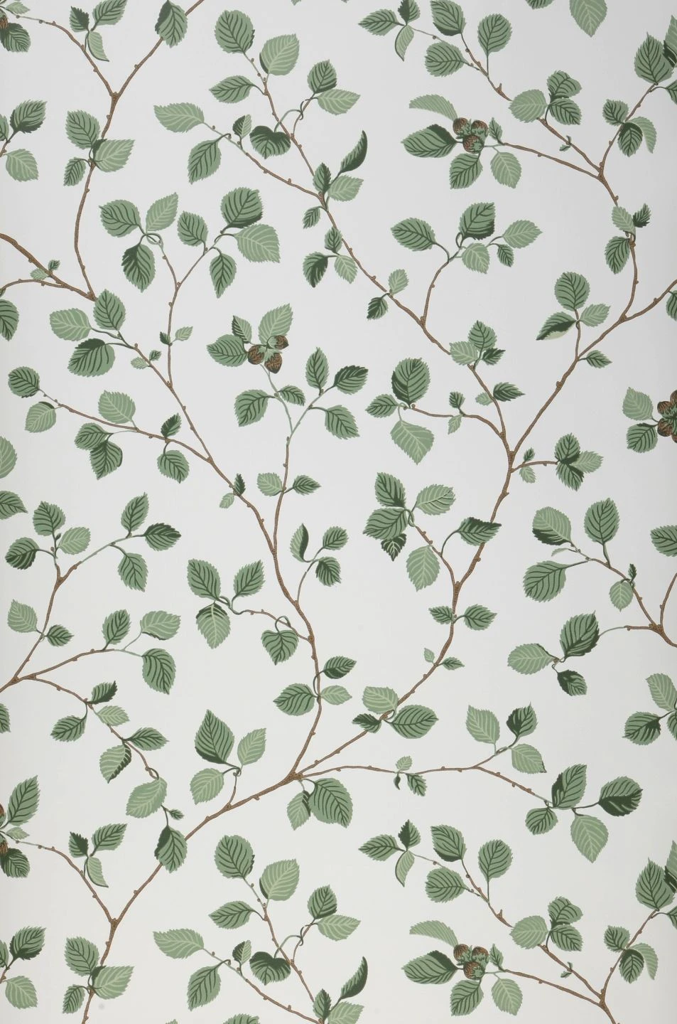 Tapete Hassel Blassgrün 2 Tapete Hassel Blassgrün – Bild 2