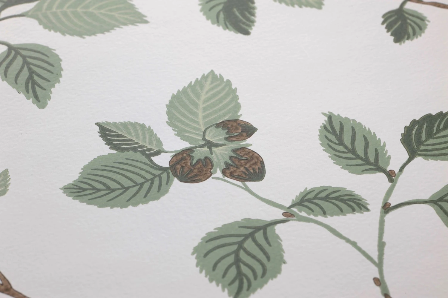 Tapete Hassel Blassgrün 3 Tapete Hassel Blassgrün – Bild 3