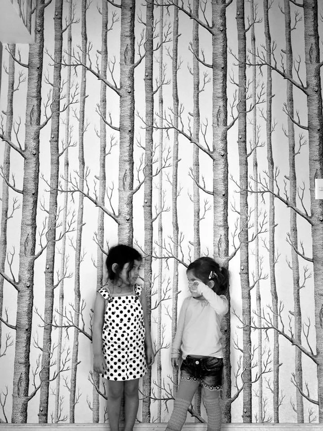 Tapete Birch Forest Schwarz 5 Tapete Birch Forest Schwarz – Bild 5