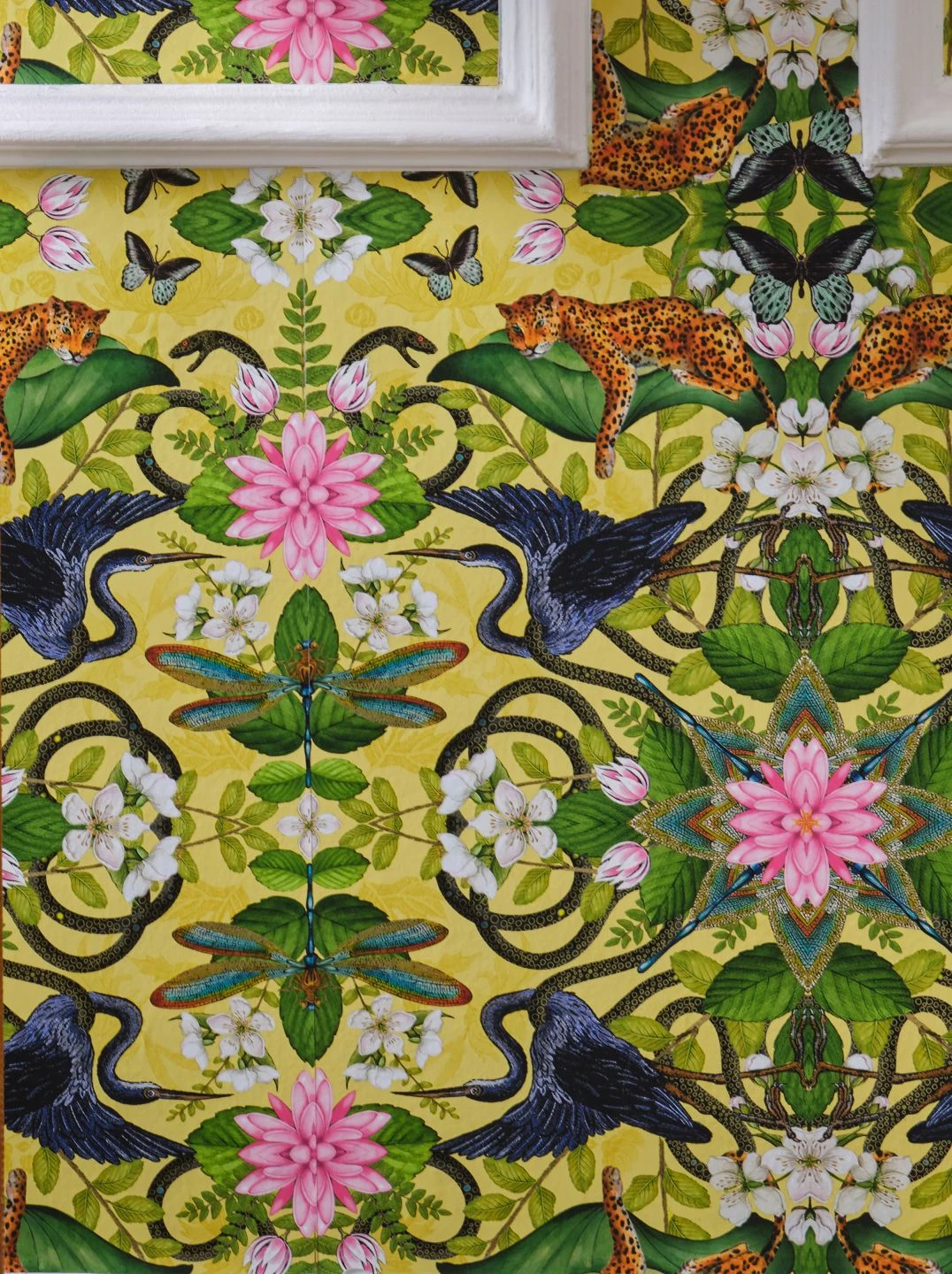 Tapete Evolutia Hellgelb 1 Tapete Evolutia Hellgelb