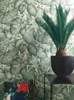 Tapete Gisah Moosgrün 8 Tapete Gisah Moosgrün -Tapetengeschäft Gisah A 410831 2880x1440