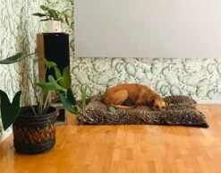 Tapete Gisah Moosgrün 9 Tapete Gisah Moosgrün -Tapetengeschäft Gisah M 410831 2880x1440