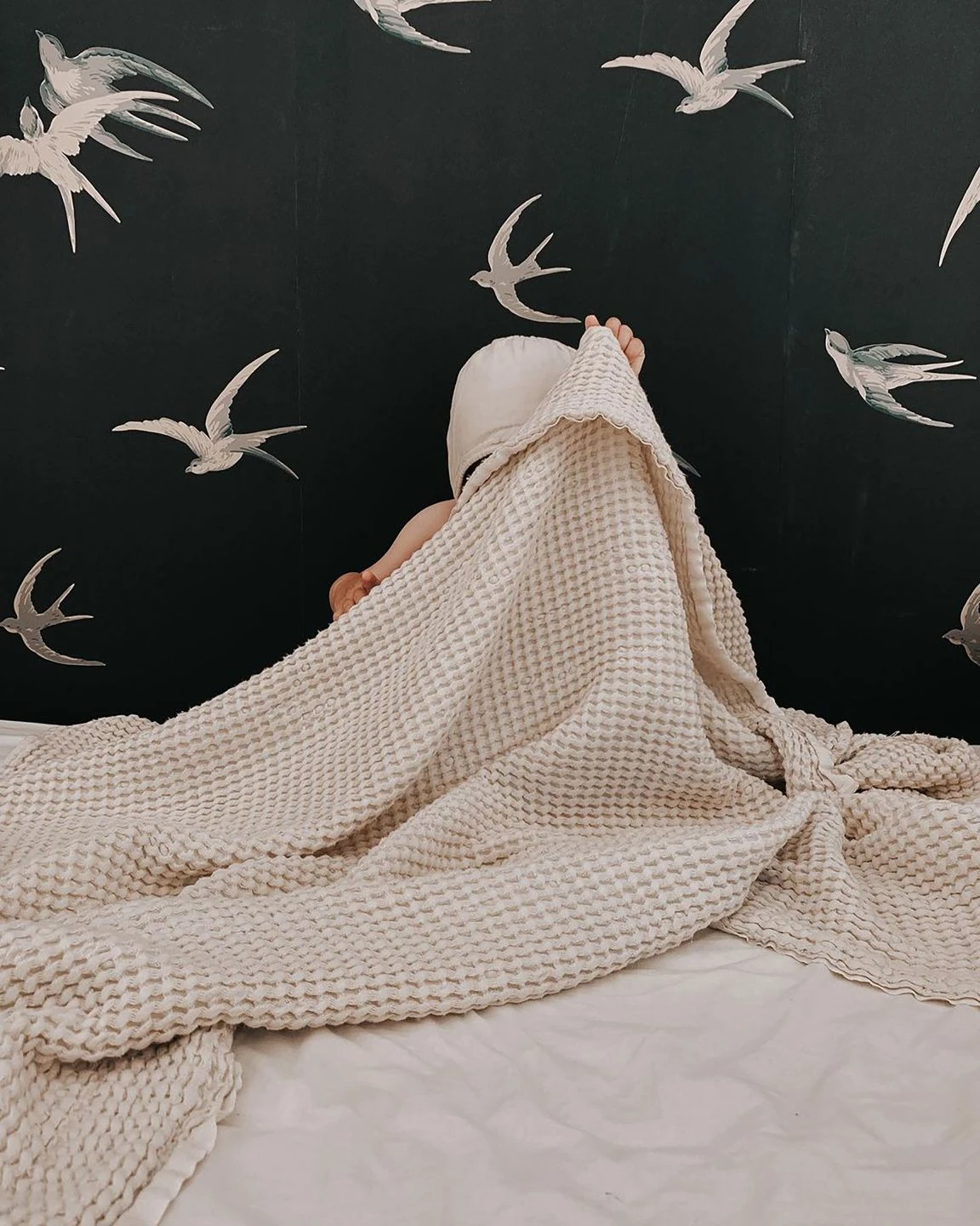 Tapete Izanami Schwarzgrau 3 Tapete Izanami Schwarzgrau – Bild 3