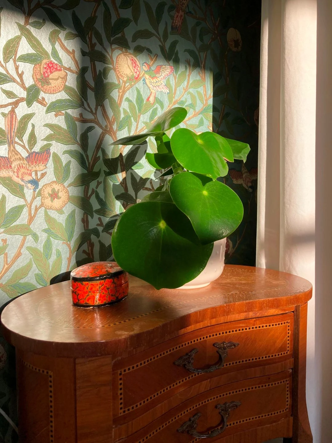 Tapete Jakobine Pastelltürkis Perlglanz 6 Tapete Jakobine Pastelltürkis Perlglanz – Bild 6