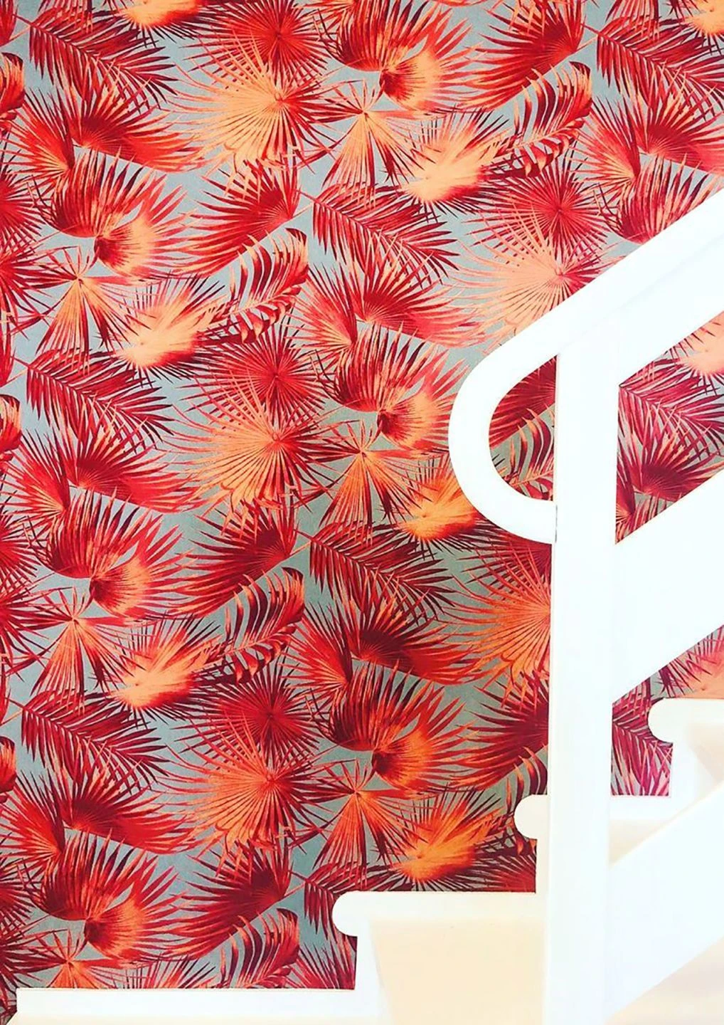 Tapete Konda Pastellorange 5 Tapete Konda Pastellorange – Bild 5