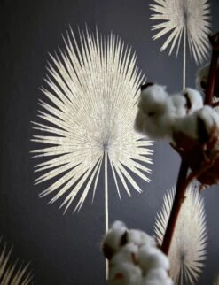 Tapete Lysander Schwarz -Tapetengeschäft Lysander C 462681 2880x1440