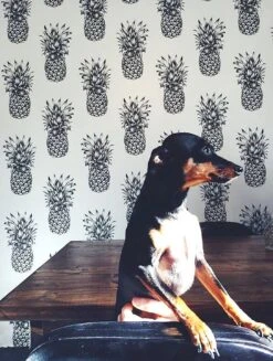 Tapete Pineapple Paradise Schwarzgrau -Tapetengeschäft Pineapple Paradise K 181211 2880x1440