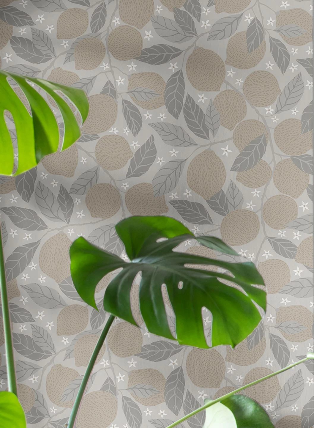 Tapete Raphael Weissgrau 1 Tapete Raphael Weissgrau