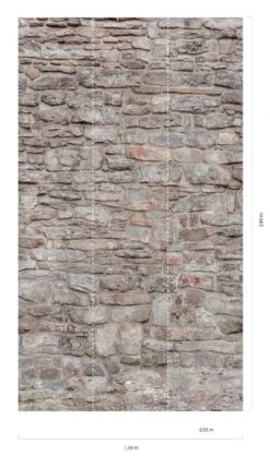 Wandbild Rustic Stones Hellgrau -Tapetengeschäft Rustic Stones C 390721 2880x1440