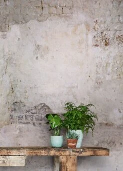 Wandbild Shabby Wall Grautöne