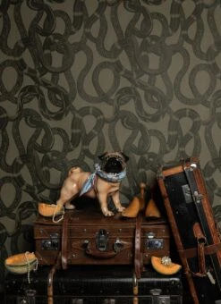 Tapete Snake Peek Moosgrau -Tapetengeschäft Snake Peek D 341112 2880x1440